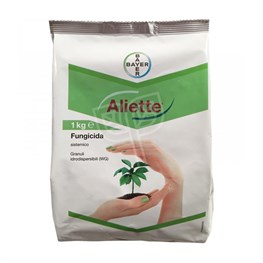 ALIETTE BAYER - KG 1